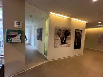 Framed black and white elephant photographs hanging in an exhibition space